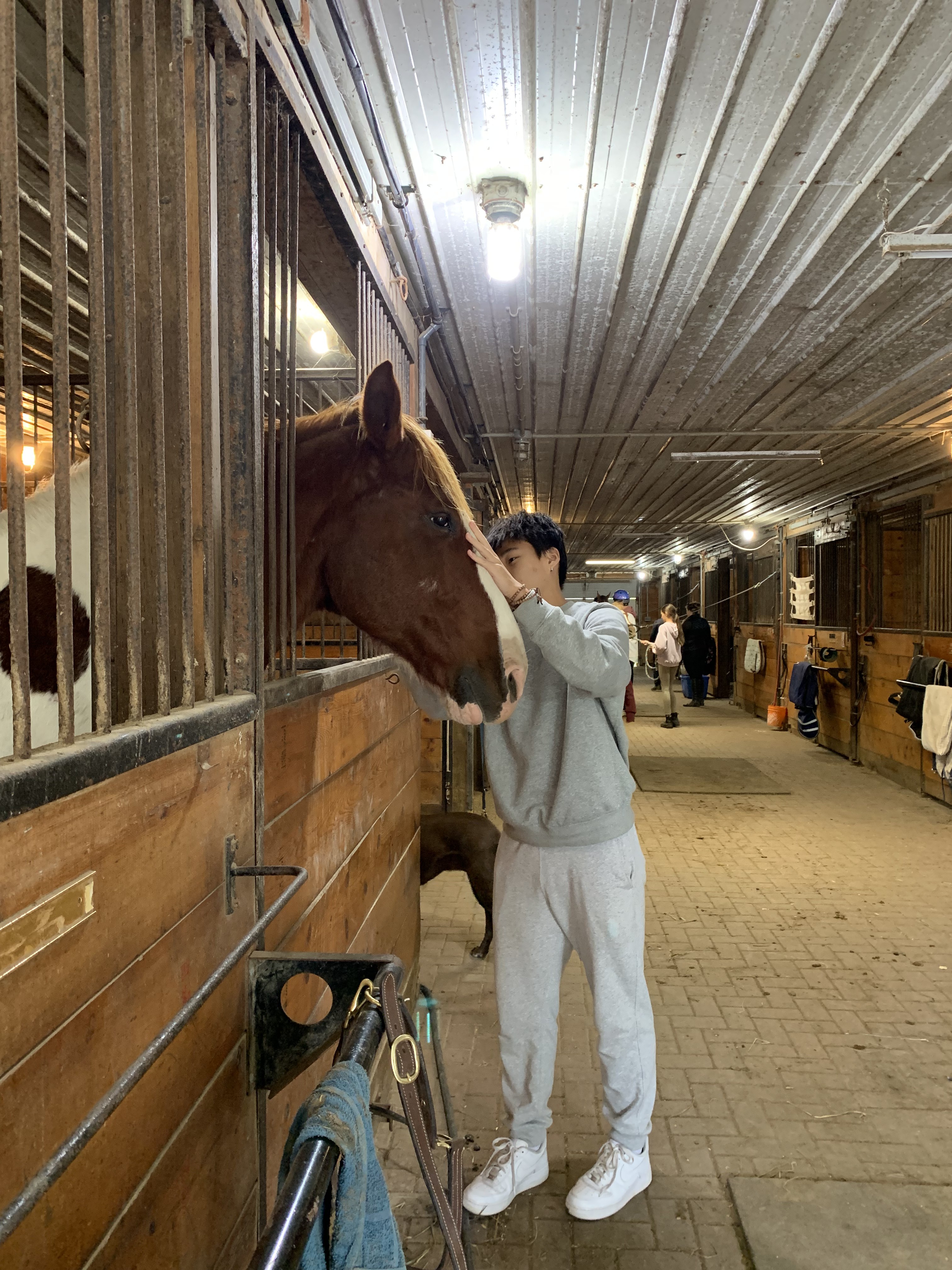 Horse Riding — photo 8